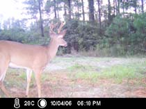 ICAM0048